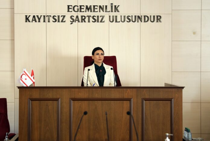 meclis-fazilet-ozdenefe