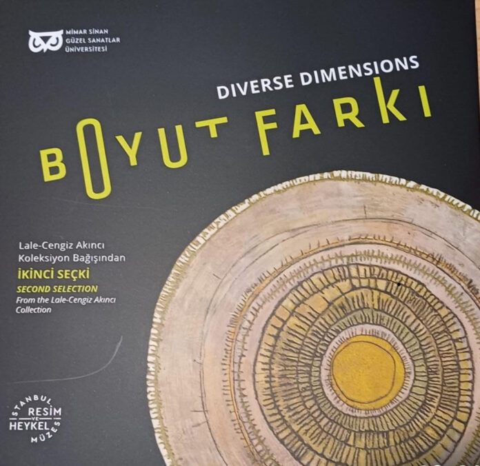 boyut