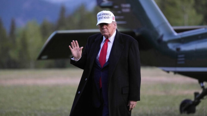 trump nobel